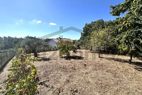Villa a Serta, Castelo Branco, Serta - € 229.000 | Ref: m2H1079 - foto 37