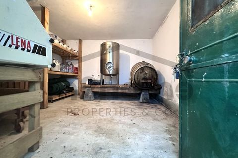 Villa a Serta, Castelo Branco, Serta - € 229.000 | Ref: m2H1079 - foto 38