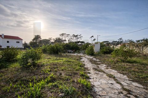 Helårsgrund i Sintra, Lisbon, Sintra - € 520.000 | Ref: KWPT-024003 - foto 18