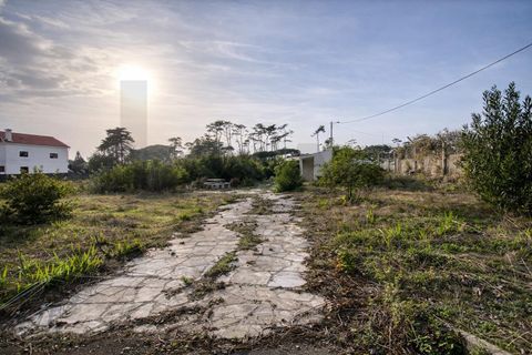Helårsgrund i Sintra, Lisbon, Sintra - € 520.000 | Ref: KWPT-024003 - foto 19