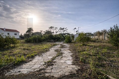 Helårsgrund i Sintra, Lisbon, Sintra - € 520.000 | Ref: KWPT-024003 - foto 20