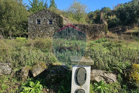 Helårsgrund i Viseu, Viseu, Viseu - € 67.500 | Ref: 2196/V - foto 3