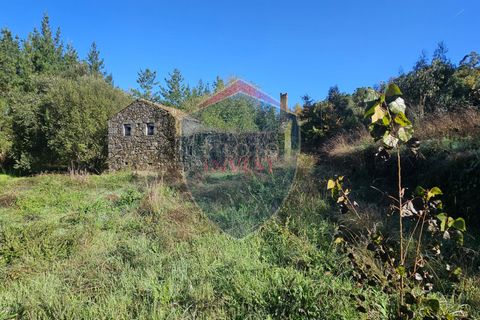 Helårsgrund i Viseu, Viseu, Viseu - € 67.500 | Ref: 2196/V - foto 4
