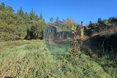 Helårsgrund i Viseu, Viseu, Viseu - € 67.500 | Ref: 2196/V - foto 6