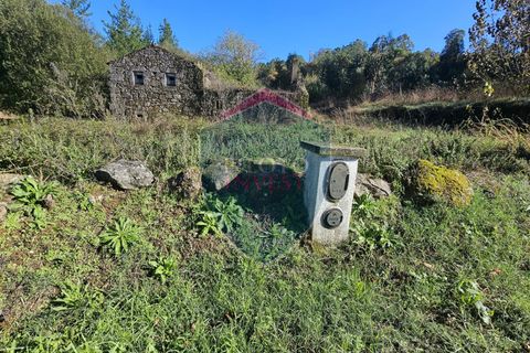 Helårsgrund i Viseu, Viseu, Viseu - € 67.500 | Ref: 2196/V - foto 7