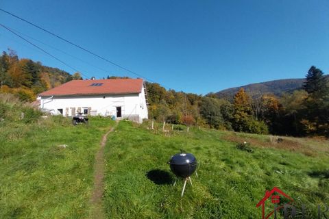 Gård i Servance, Haute-Saone, Servance - € 259 000 | Ref: 112_6141 - foto 2