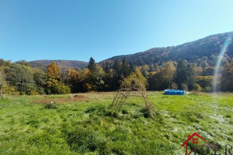 Gård i Servance, Haute-Saone, Servance - € 259 000 | Ref: 112_6141 - foto 19