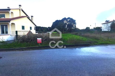 Terra a Monte Real, Leiria, Monte Real - € 45.000 | Ref: 235/T/01670 - foto 4