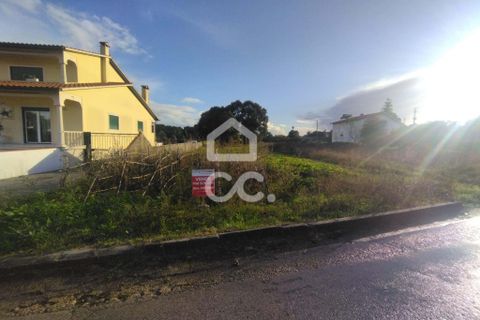 Terra a Monte Real, Leiria, Monte Real - € 45.000 | Ref: 235/T/01670 - foto 7