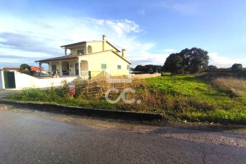 Terra a Monte Real, Leiria, Monte Real - € 45.000 | Ref: 235/T/01670 - foto 10