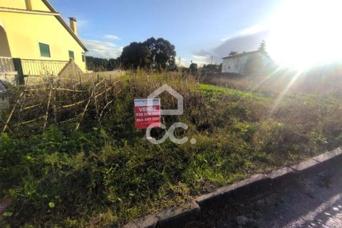 Terra a Monte Real, Leiria, Monte Real - € 45.000 | Ref: 235/T/01670 - foto 11