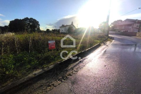 Terra a Monte Real, Leiria, Monte Real - € 45.000 | Ref: 235/T/01670 - foto 13