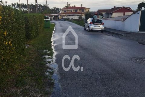Terra a Monte Real, Leiria, Monte Real - € 45.000 | Ref: 235/T/01670 - foto 6