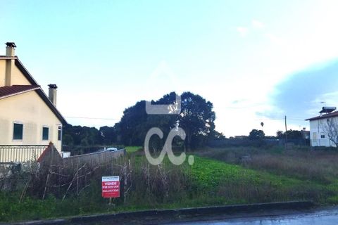 Terra a Monte Real, Leiria, Monte Real - € 45.000 | Ref: 235/T/01670 - foto 3