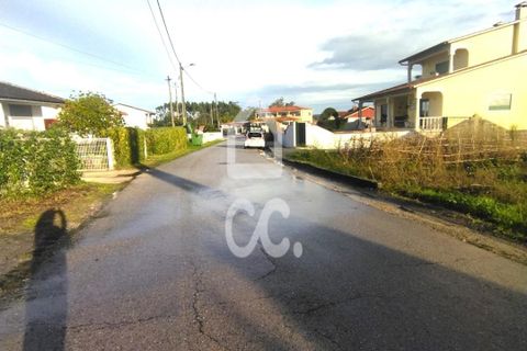 Terra a Monte Real, Leiria, Monte Real - € 45.000 | Ref: 235/T/01670 - foto 14