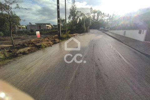 Terreno en Monte Real, Leiria, Monte Real - € 92.000 | Ref: 235/T/01671 - photo 2