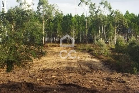 Terreno en Monte Real, Leiria, Monte Real - € 92.000 | Ref: 235/T/01671 - photo 8