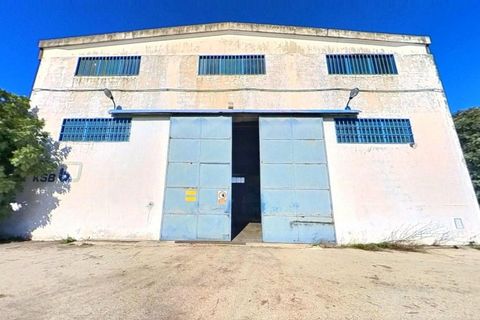 Erhvervsejendom i Taranto, Taranto, Taranto - € 1.125.000 | Ref: 2537573 - foto 6