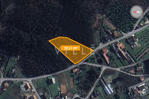 Helårsgrund i Agueda, Aveiro, Agueda - € 120.000 | Ref: AV2670 - foto 2