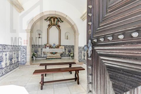 Landejendom i Redondo, Evora, Redondo - € 4.850.000 | Ref: EXP_37 - foto 9