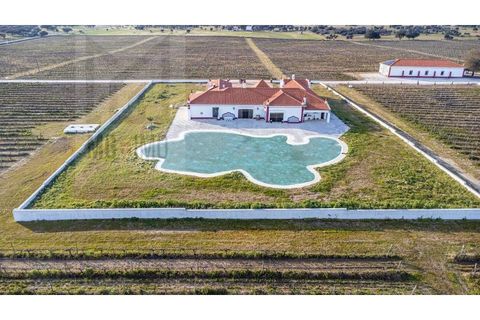 Landejendom i Redondo, Evora, Redondo - € 4.850.000 | Ref: EXP_37 - foto 50