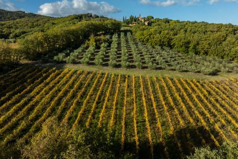 Villa i Todi, Perugia, Todi - € 2.950.000 | Ref: CBI134-2230-228 - foto 38