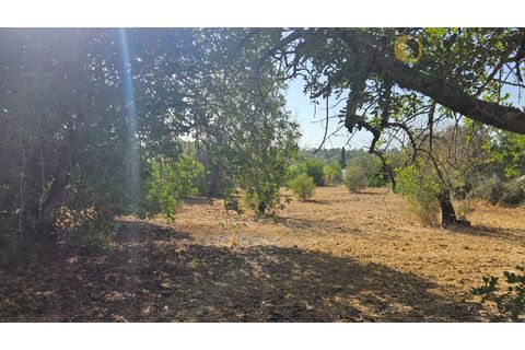 Helårsgrund i Moncarapacho, Faro, Moncarapacho - € 50.000 | Ref: TR14094 - foto 5