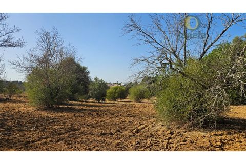 Helårsgrund i Moncarapacho, Faro, Moncarapacho - € 50.000 | Ref: TR14094 - foto 6