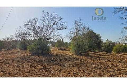 Helårsgrund i Moncarapacho, Faro, Moncarapacho - € 50.000 | Ref: TR14094 - foto 7