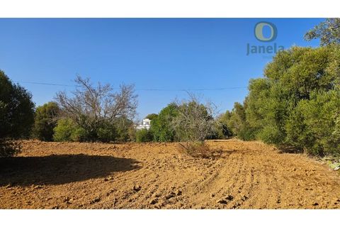 Helårsgrund i Moncarapacho, Faro, Moncarapacho - € 50.000 | Ref: TR14094 - foto 8