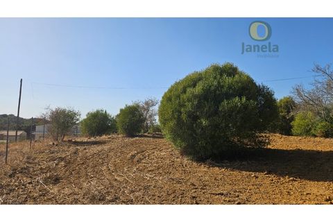 Helårsgrund i Moncarapacho, Faro, Moncarapacho - € 50.000 | Ref: TR14094 - foto 9