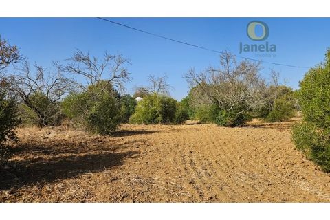 Helårsgrund i Moncarapacho, Faro, Moncarapacho - € 50.000 | Ref: TR14094 - foto 10