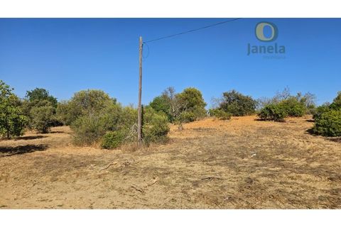 Helårsgrund i Moncarapacho, Faro, Moncarapacho - € 50.000 | Ref: TR14094 - foto 12