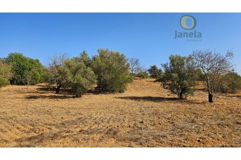 Helårsgrund i Moncarapacho, Faro, Moncarapacho - € 50.000 | Ref: TR14094 - foto 13
