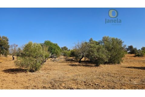 Helårsgrund i Moncarapacho, Faro, Moncarapacho - € 50.000 | Ref: TR14094 - foto 14