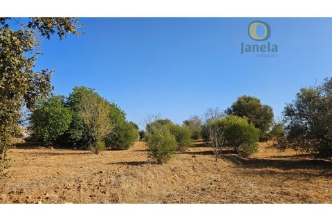 Helårsgrund i Moncarapacho, Faro, Moncarapacho - € 50.000 | Ref: TR14094 - foto 15