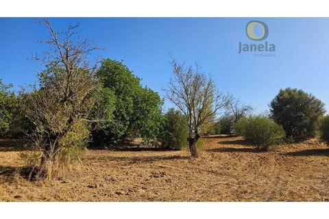 Helårsgrund i Moncarapacho, Faro, Moncarapacho - € 50.000 | Ref: TR14094 - foto 16
