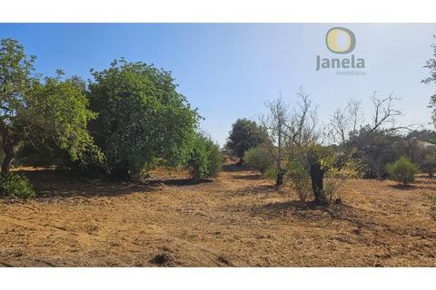Helårsgrund i Moncarapacho, Faro, Moncarapacho - € 50.000 | Ref: TR14094 - foto 17