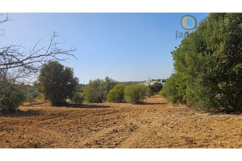 Helårsgrund i Moncarapacho, Faro, Moncarapacho - € 50.000 | Ref: TR14094 - foto 18