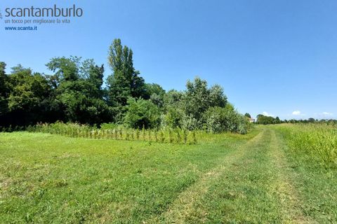 Tomt i Preganziol, Treviso, Preganziol - € 115 000 | Ref: 848 - foto 3