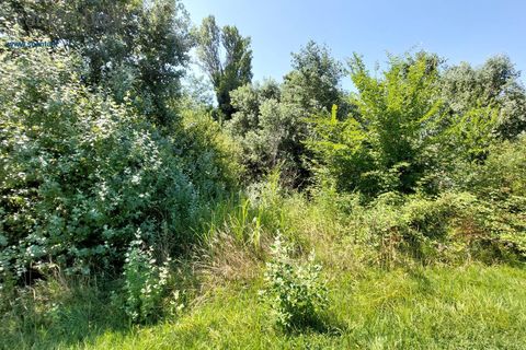 Tomt i Preganziol, Treviso, Preganziol - € 115 000 | Ref: 848 - foto 5