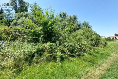 Tomt i Preganziol, Treviso, Preganziol - € 115 000 | Ref: 848 - foto 6
