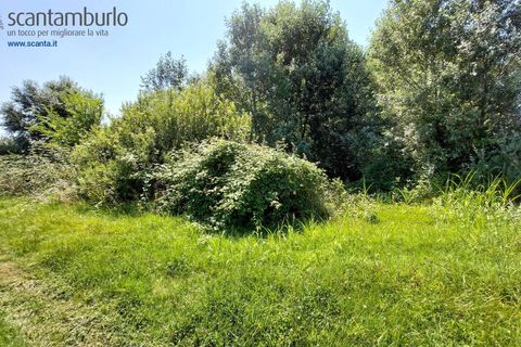 Tomt i Preganziol, Treviso, Preganziol - € 115 000 | Ref: 848 - foto 7