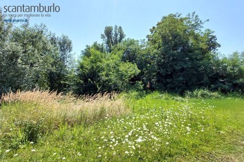 Tomt i Preganziol, Treviso, Preganziol - € 115 000 | Ref: 848 - foto 9