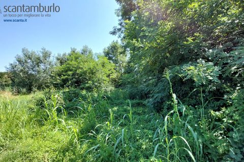 Tomt i Preganziol, Treviso, Preganziol - € 115 000 | Ref: 848 - foto 12