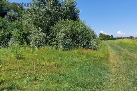 Tomt i Preganziol, Treviso, Preganziol - € 115 000 | Ref: 848 - foto 13