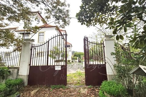 Farm i Ourem, Santarem, Ourem - € 1.200.000 | Ref: MAS_176 - foto 5