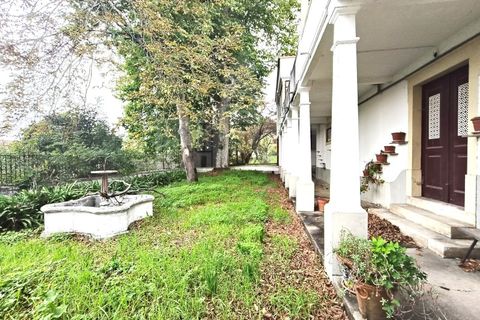Farm i Ourem, Santarem, Ourem - € 1.200.000 | Ref: MAS_176 - foto 9