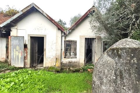 Farm i Ourem, Santarem, Ourem - € 1.200.000 | Ref: MAS_176 - foto 14