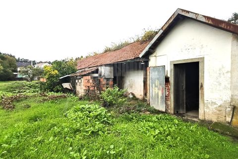 Farm i Ourem, Santarem, Ourem - € 1.200.000 | Ref: MAS_176 - foto 15